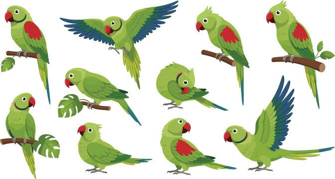 Green Parrot Vector Collection with Indian Ringneck Parakeets in Various Poses Including Flying Perching and Preening for Tropical Nature and Wildlife Designs