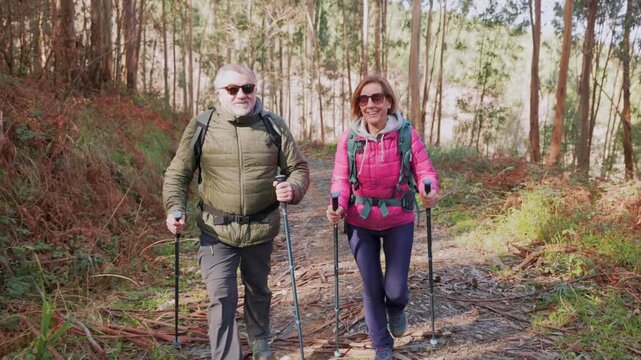 Active senior couple walking with trekking poles on a path through the woods. The man points at something in the distance while the woman smiles, embracing an energetic outdoor lifestyle