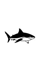 Fototapeta premium Black silhouette of a shark swimming.