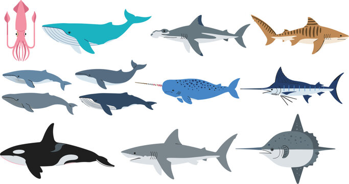 Marine Life Vector Collection Featuring Blue Whale, Great White Shark, Orca, Hammerhead, Narwhal, Squid, and Marlin for Ocean Conservation and Marine Biology Educational Designs