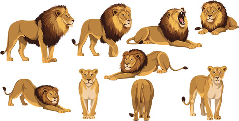 Majestic Lion and Lioness Vector Set Featuring African Wildlife in Various Poses Including Roaring, Standing, and Crouching for Safari Nature and Leadership Graphic Designs © Yousuf
