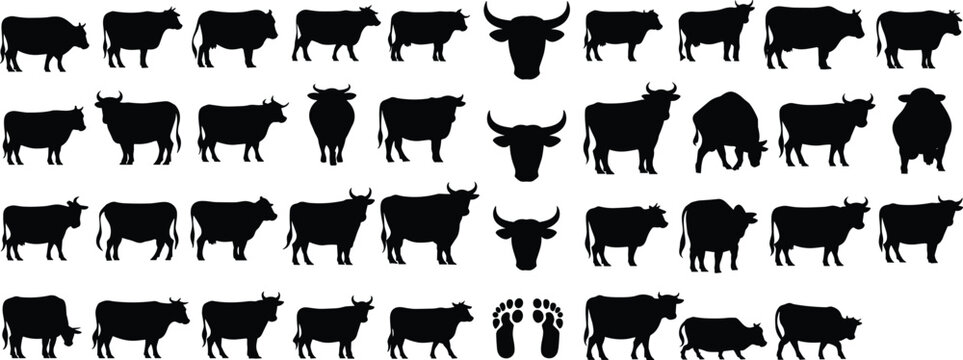 Cow and bull silhouettes, farm animal vector, livestock illustration, cattle icons, rural agriculture design, footprint anomaly art, pattern recognition concept