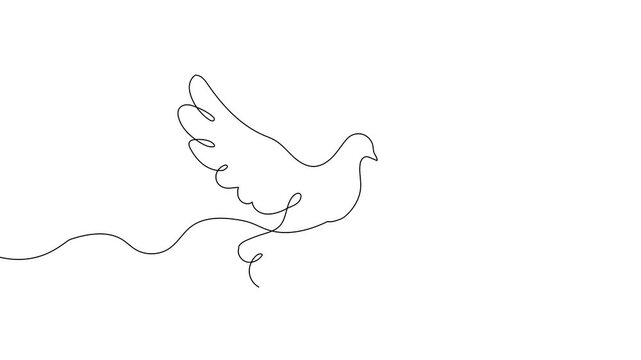 Line bird dove art peace hope pigeon freedom icon outline. Hand line bird dove vector white angel animal fly continuous sketch easter doodle wing illustration wedding stroke background free logo loved