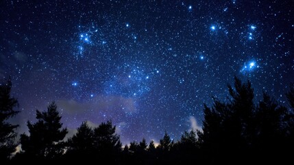Brilliant star cluster shining in deep blue night sky over pine forest. Clear celestial view with constellations. Matariki festival and Māori New Year symbolism