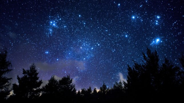 Brilliant star cluster shining in deep blue night sky over pine forest. Clear celestial view with constellations. Matariki festival and Māori New Year symbolism