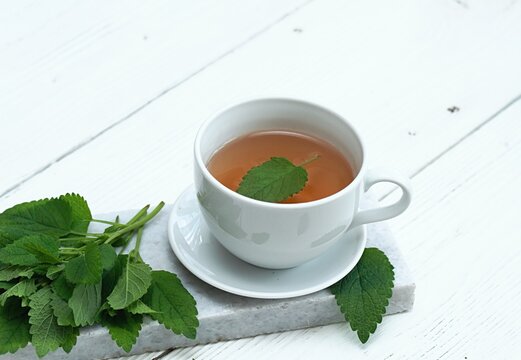 A cup of fresh tea from Melissa officinalis, commonly known as lemon balm or melissa on a marble.  Balm tea is used for good sleep in traditional medicine .