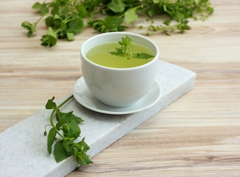 A cup of fresh tea from Chickweed, lat. Stellaria media on white marble. Traditional herb tea rich in minerals is used for detoxificatin.