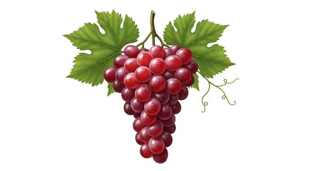 A fresh bunch of red grapes hanging with green leaves on white background
