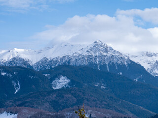 Fototapeta premium Mountain winter landscape with snow peak and forest