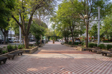 Chapultepec Avenue Promenade, Colonia Americana District - Guadalajara, Jalisco, Mexico © diegograndi