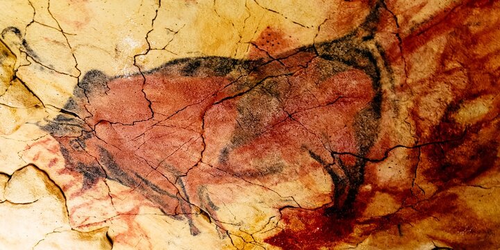 Santillana del Mar, Cantabria, Spain. June 21, 2025.- Magdalenian polychrome bison. National Museum and Research Center of Altamira.