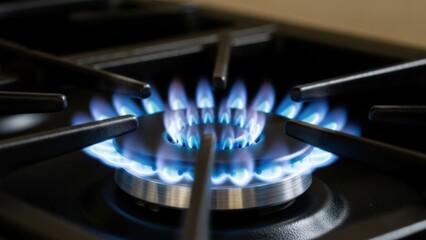 Close-up of a gas stove burner with blue flames.