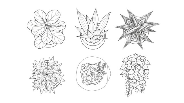Modern Indoor Potted Plant Icons Plan View Architectural Sketch Outline Vector Set