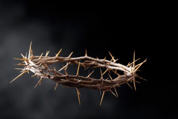 Crown of thorns wreath isolated on black backdrop intense closeup showing detail of spikes texture and weathered branches
