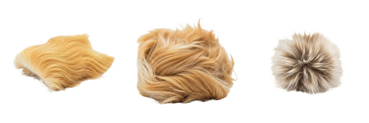 Tan Fur Swatch Pelt Pom Pom Isolated on White PNG Transparent Background Soft Golden Brown Hair...