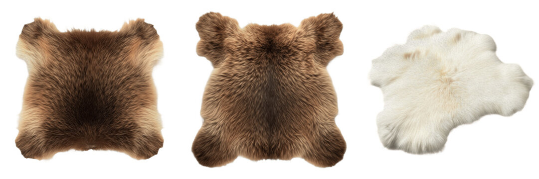 Brown Bear Pelt White Sheepskin Rug Isolated on White PNG Transparent Background Real Animal Fur Hide Soft Fluffy Texture Hunting Trophy Cabin Decor Forest Motif