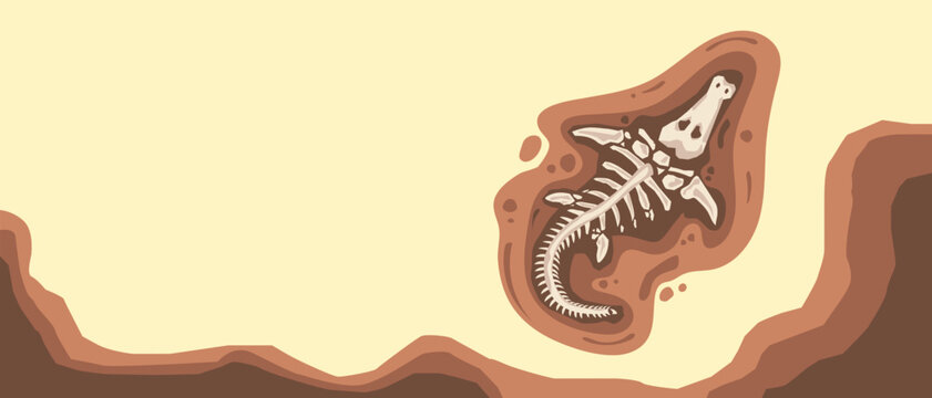 Detailed Mosasaurus fossil skeleton illustration in scientific paleontology style. Prehistoric marine reptile fossil isolated for educational, museum, natural history, science publication, and histori