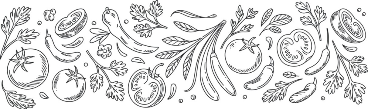 Hand drawn vegetable border with tomatoes and chili peppers in a black line art vector illustration
