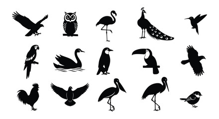 Obraz premium Bird Silhouette Collection — Black Wildlife Flying Shape Vector Set