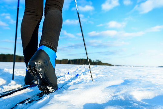 Skier on cross-country skis in the snow on forest trail of the sun above the horizon in winter.