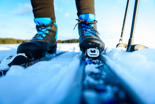 Skier on cross-country skis in the snow on forest trail of the sun above the horizon in winter.