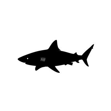 Black silhouette of a shark fish.