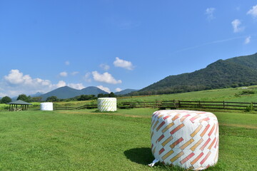 ひるぜんジャージーランド　岡山　牧場　牧草 © 頼朝