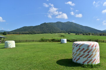 ひるぜんジャージーランド　岡山　牧場　牧草 © 頼朝
