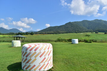 ひるぜんジャージーランド　岡山　牧場　牧草 © 頼朝