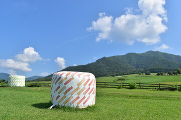 ひるぜんジャージーランド　岡山　牧場　牧草 © 頼朝