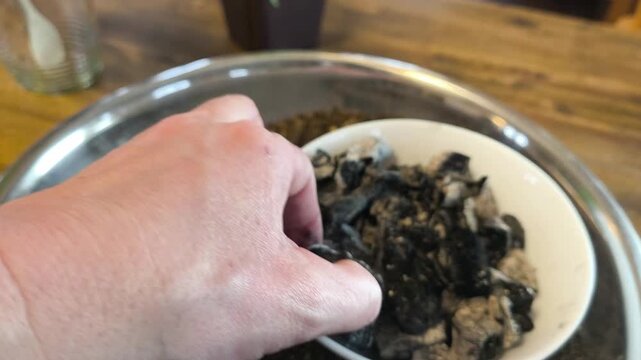 Close-up of a gardener's hands crushing natural charcoal to create biochar for a potting mix. Sustainable soil amendment and permaculture gardening techniques
