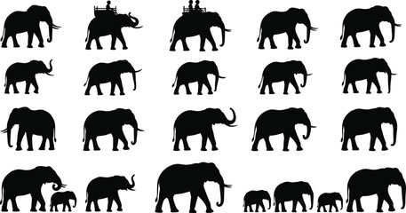 Comprehensive collection of black elephant silhouettes in various walking and standing poses, including baby elephants and riders, cad drawing flat vector illustration. © Monjila