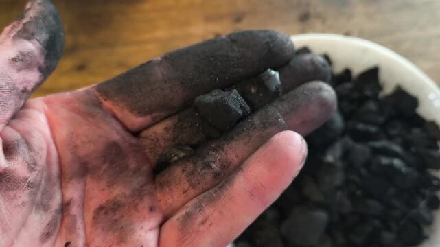 Close-up of a gardener's hands crushing natural charcoal to create biochar for a potting mix. Sustainable soil amendment and permaculture gardening techniques