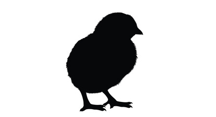 Obraz premium A striking black silhouette of a fluffy baby chick standing on its legs showcasing a simple form silhouette