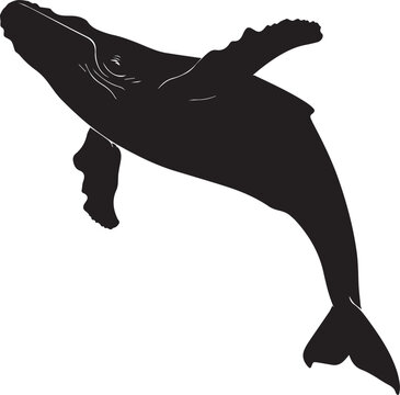 Massive whale gliding gracefully through ocean water silhouette.