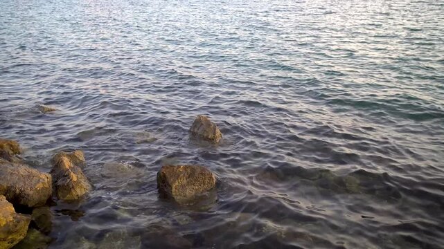 A stretch of calm shoreline holds a scatter of rocks