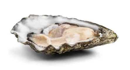 Oyster isolated on white background, macro shot of open one fresh french Fine de Claire oyster. Gourmet food. Seafood. Detailed macro shot.  © Subbotina Anna