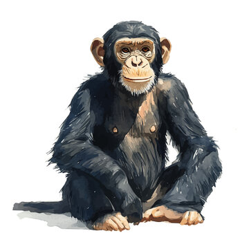 Chimpanzee, watercolor clipart vector, isolated on a white background.