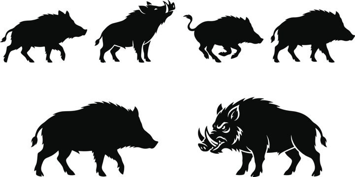 Wild boar silhouette set, razorback hog icons, feral pig vectors, forest swine shapes, hunting symbols, wildlife graphics, woodland creature outlines, isolated, set