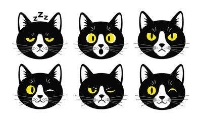 Fototapeta premium Six different facial expressions of a black and white cat