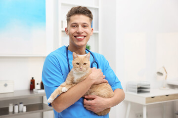Professional veterinarian with cute ginger cat in clinic