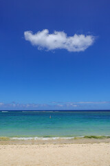 Fototapeta premium Scenic landscape of the famous tropical Flic en Flac beach in the west part of Mauritius Island, Indian Ocean, Africa