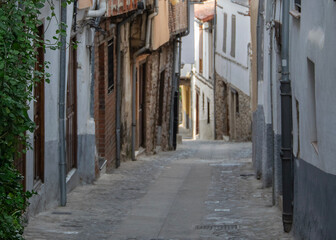 Fototapeta premium Narrow cobblestone street with climbing vines, hervas, spains