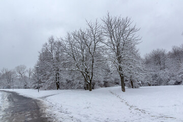 Fototapeta premium Landscape of South Park in city of Sofia, Bulgaria