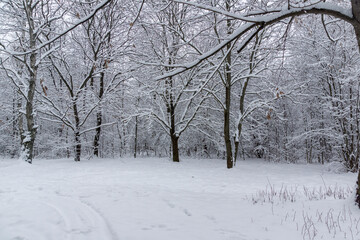 Landscape of South Park in city of Sofia, Bulgaria