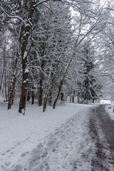 Obraz premium Landscape of South Park in city of Sofia, Bulgaria