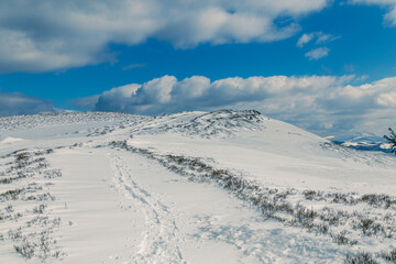 Winter trail in the Bieszczady Mountains with footprints leading across a snowy ridge, distant peaks on the horizon and a bright blue sky with scattered clouds in southeastern Poland © Mati