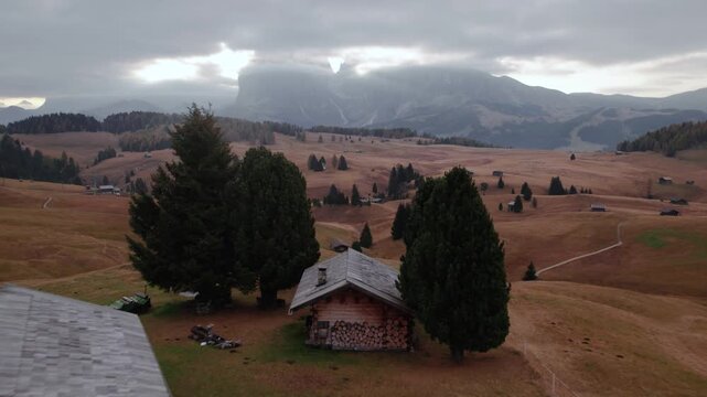 Flying over cabin huts at Seiser Alm valley in Dolomites Italy . Morning at idyllic Alpe di Suisi meadow in South Tyrol with birds flying between trees