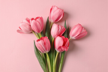 Obraz premium Beautiful tulips on pink background, top view