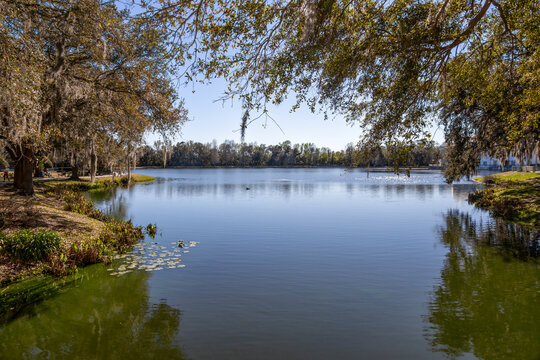 Lake Rianhard offers a tranquil retreat in the heart of Celebration, Florida, surrounded by lush greenery and scenic views.
